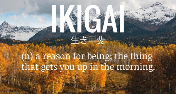 Ikigai – Lý do vì sao có những người Nhật làm việc suốt đời và luôn luôn chăm chỉ