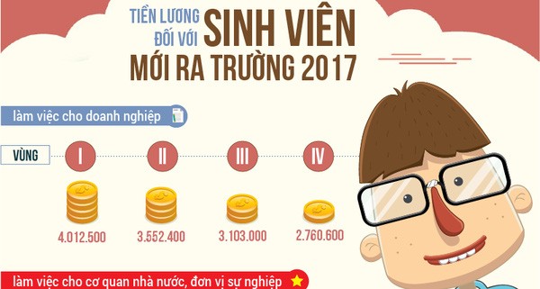 Những quy định về tiền lương mà sinh viên mới ra trường nên biết